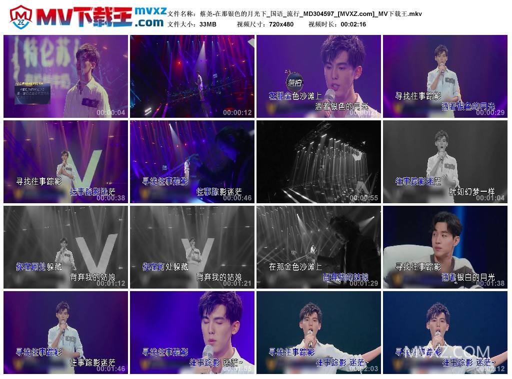 蔡尧-在那银色的月光下_国语_流行_MD304597